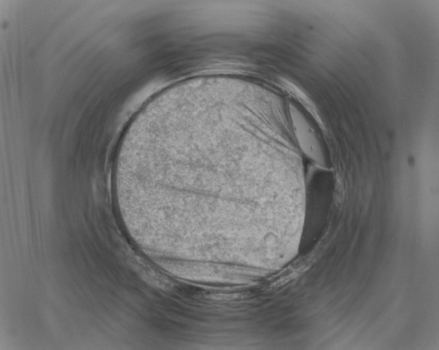 X0000061111419200512161402