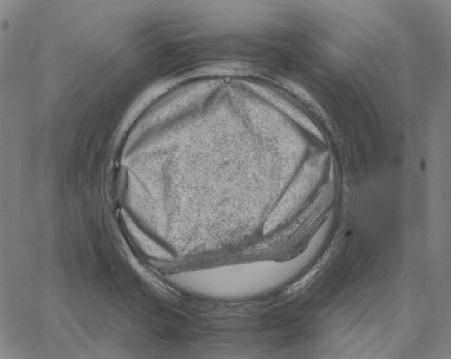 X0000061111421200512161402