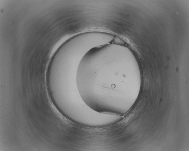 X0000061111422200512161402