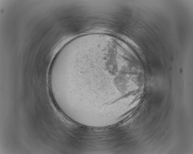 X0000061111423200512161402