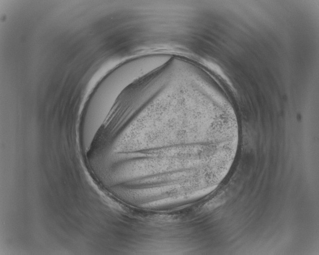 X0000061111424200512161402