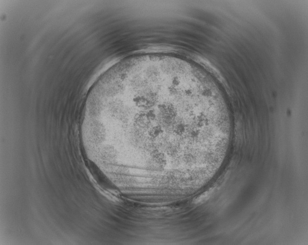 X0000061111425200512161402