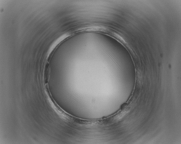 X0000061111426200512161402