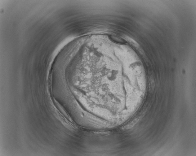 X0000061111427200512161402