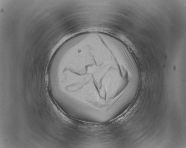 X0000061111428200512161402