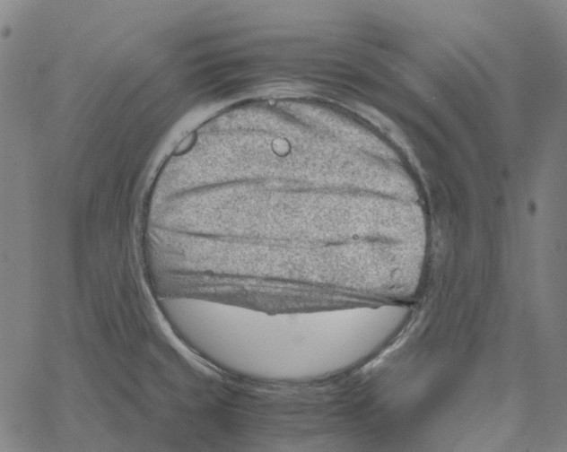 X0000061111429200512161402