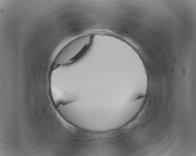 X0000061111430200512161402