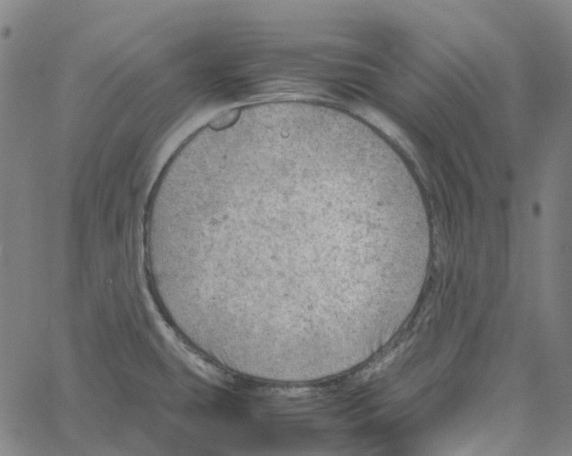 X0000061111431200512161402