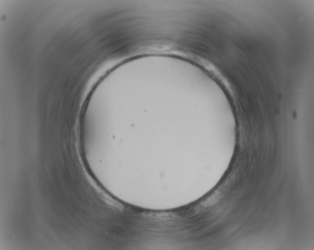 X0000061111432200512161402