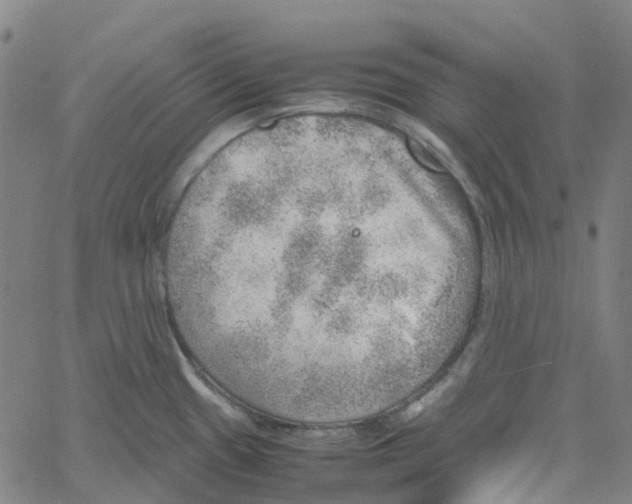 X0000061111433200512161402