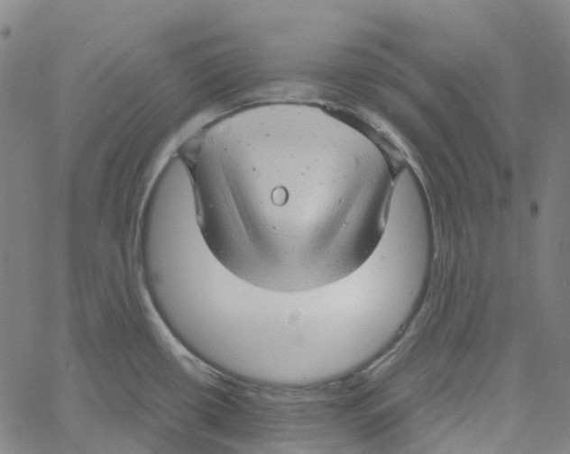 X0000061111434200512161402