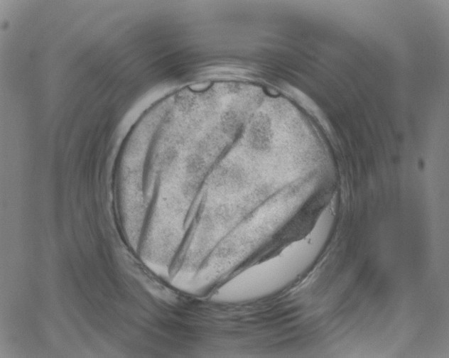 X0000061111435200512161402