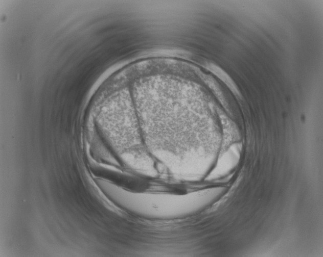 X0000061111436200512161402