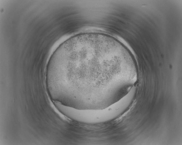 X0000061111437200512161402