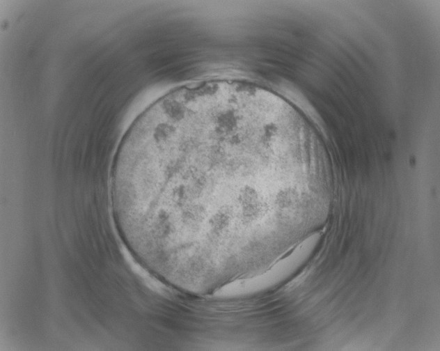 X0000061111439200512161402