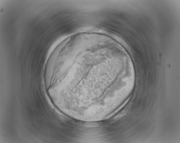 X0000061111440200512161402