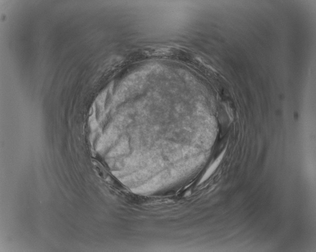 X0000061111441200512161401