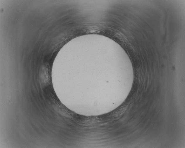 X0000061111442200512161401