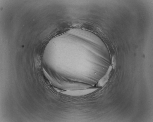 X0000061111443200512161401