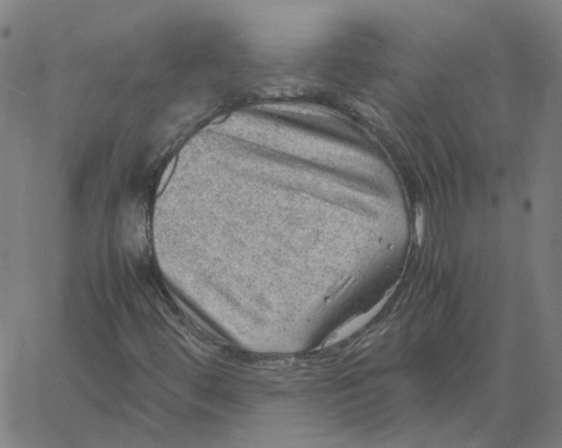 X0000061111444200512161401