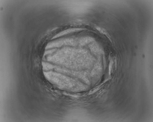 X0000061111445200512161401