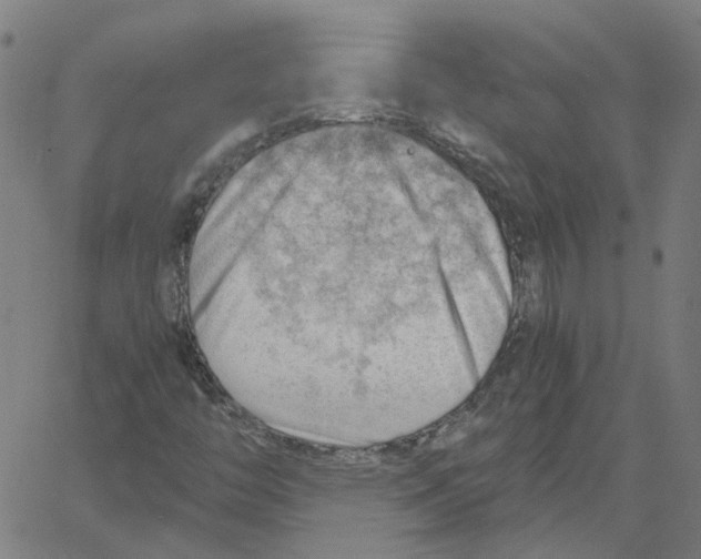 X0000061111446200512161401