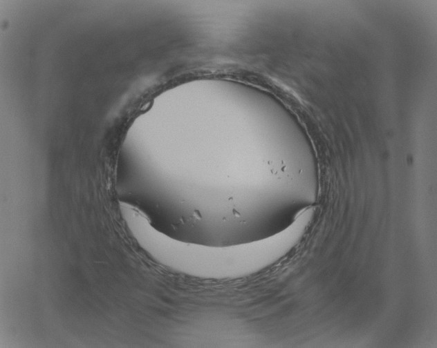 X0000061111447200512161401