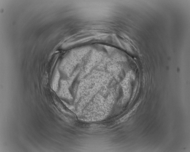 X0000061111449200512161401