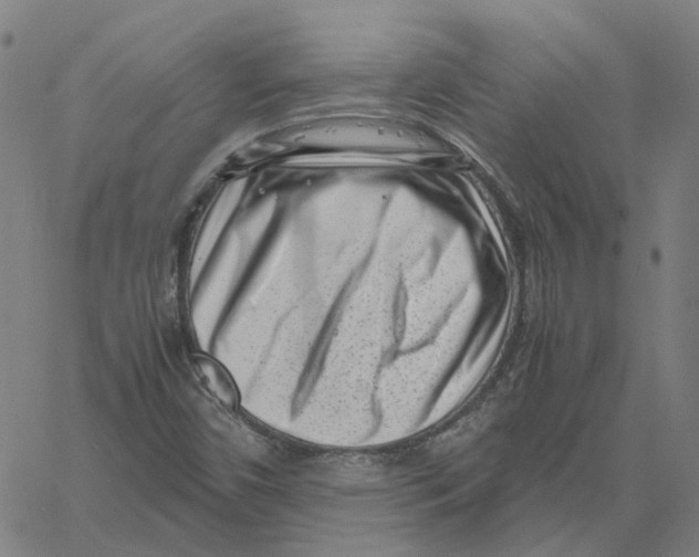 X0000061111450200512161401