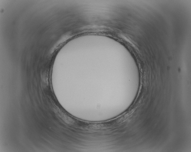 X0000061111451200512161401