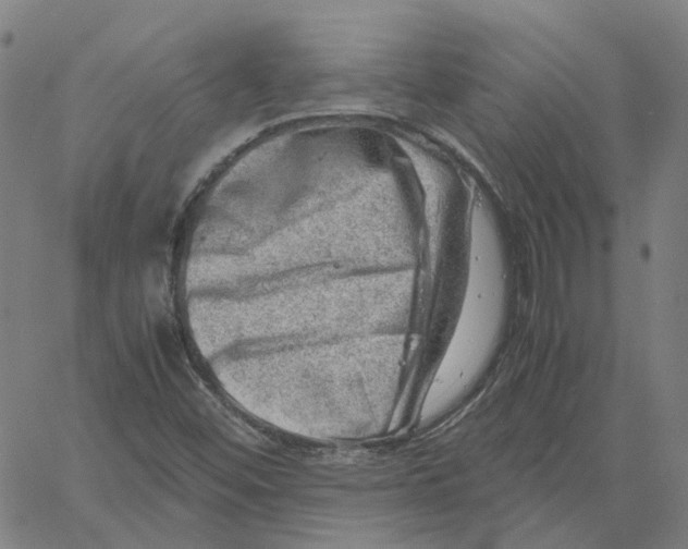 X0000061111452200512161401