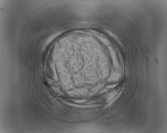 X0000061111453200512161401