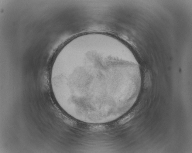 X0000061111454200512161401