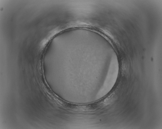 X0000061111455200512161401