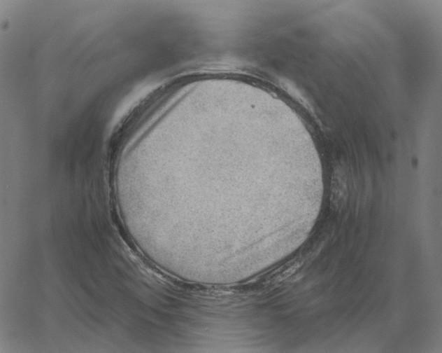 X0000061111456200512161401