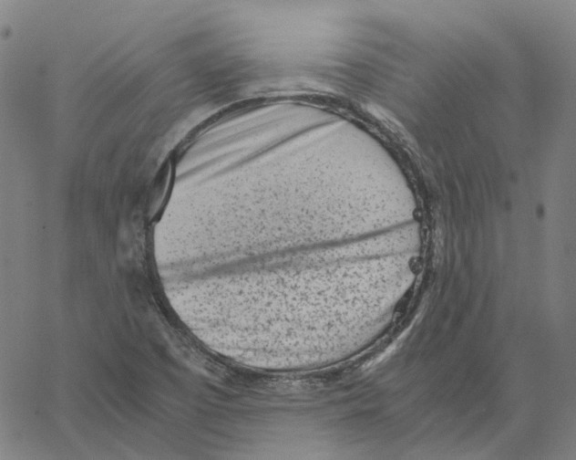 X0000061111457200512161401