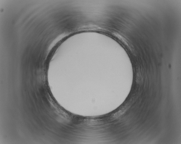 X0000061111458200512161401