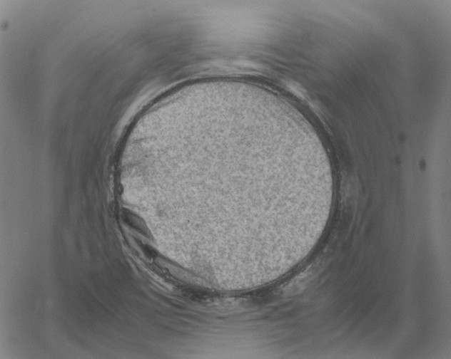 X0000061111459200512161401