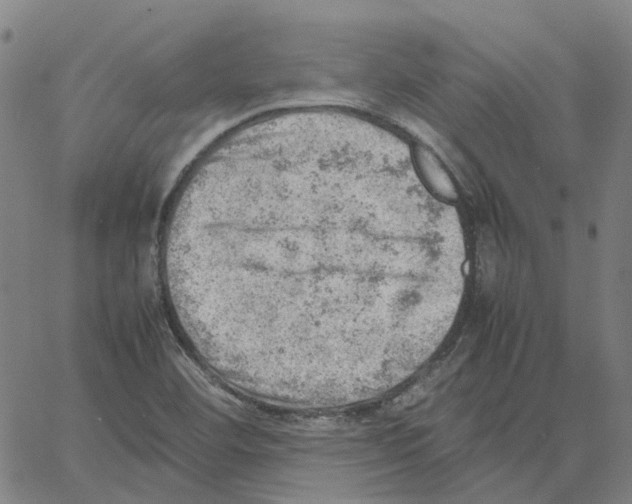 X0000061111460200512161401