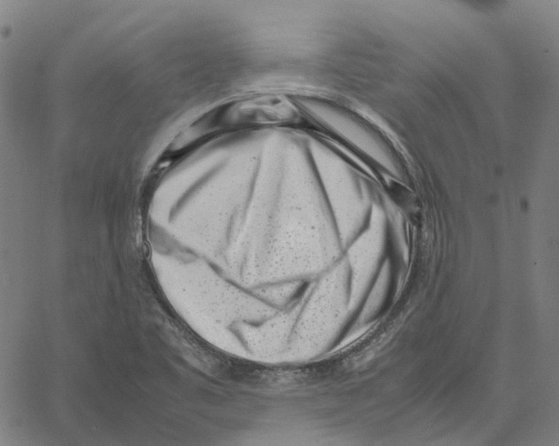 X0000061111461200512161401