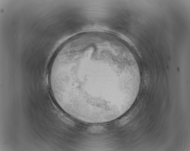 X0000061111462200512161401