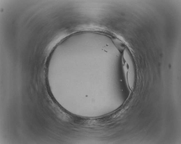 X0000061111463200512161401