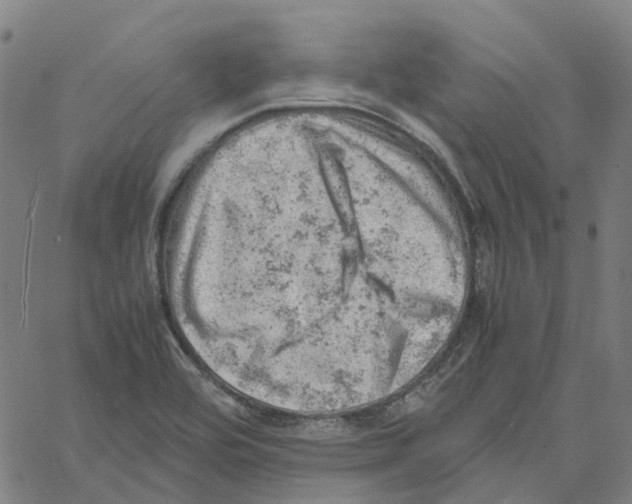 X0000061111464200512161401