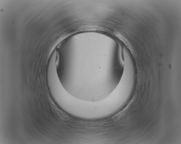 X0000061111465200512161401