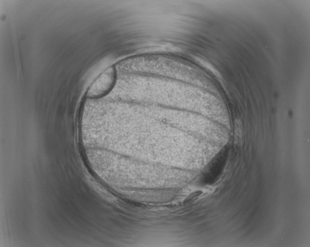 X0000061111467200512161401