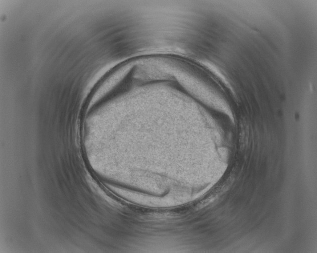 X0000061111468200512161401