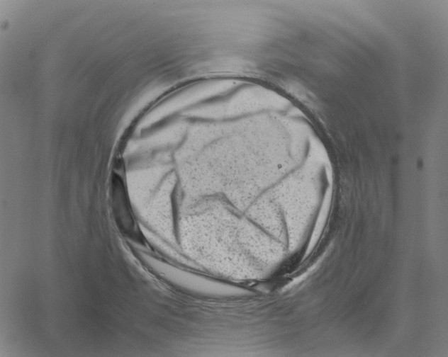 X0000061111469200512161401