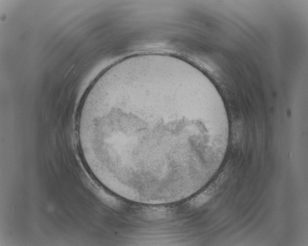 X0000061111470200512161401