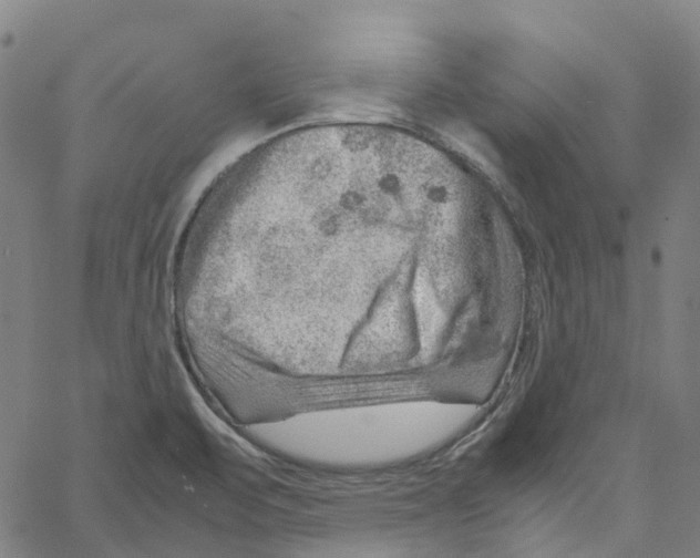 X0000061111471200512161401