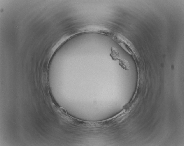 X0000061111473200512161401